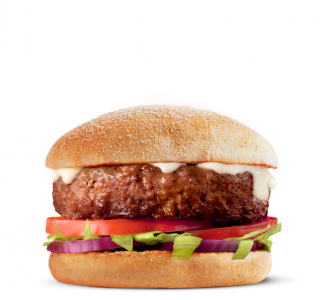 Vegan Burger image